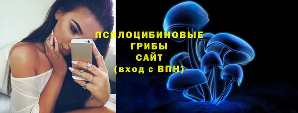 стаф Великий Новгород
