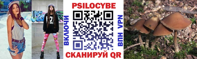 Галлюциногенные грибы мицелий  blacksprut ONION  darknet наркотические препараты  купить закладку  Фатеж 